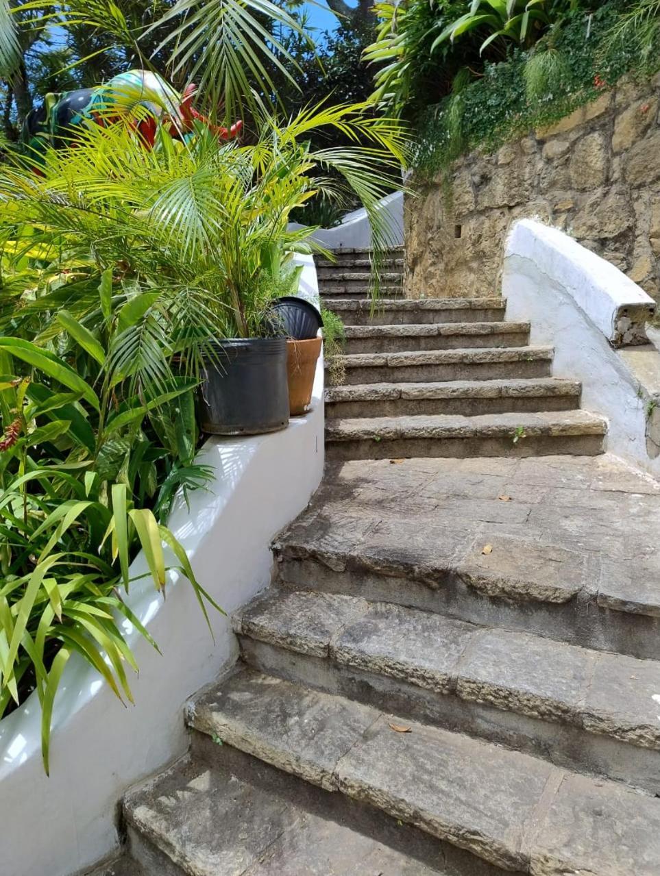 Raro Ipanema Boutique Hotel Rio de Janeiro Eksteriør billede